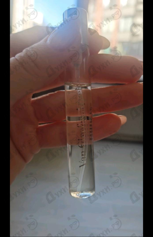 Купить Santal Blanc от Van Cleef & Arpels