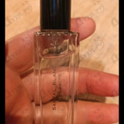 Отзыв Van Cleef & Arpels Santal Blanc