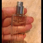Духи Santal Blanc от Van Cleef & Arpels