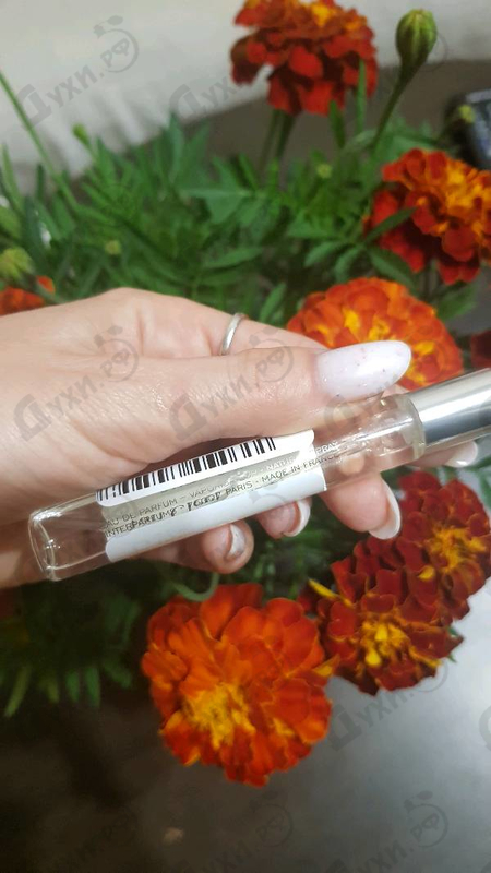 Купить Santal Blanc от Van Cleef & Arpels