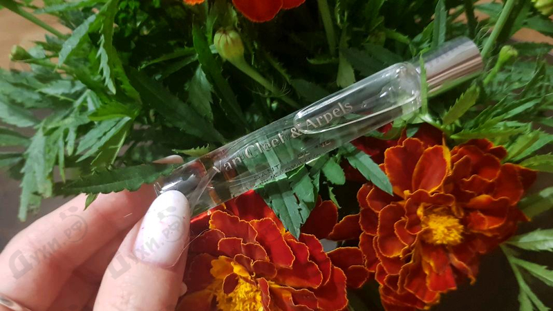 Духи Santal Blanc от Van Cleef & Arpels