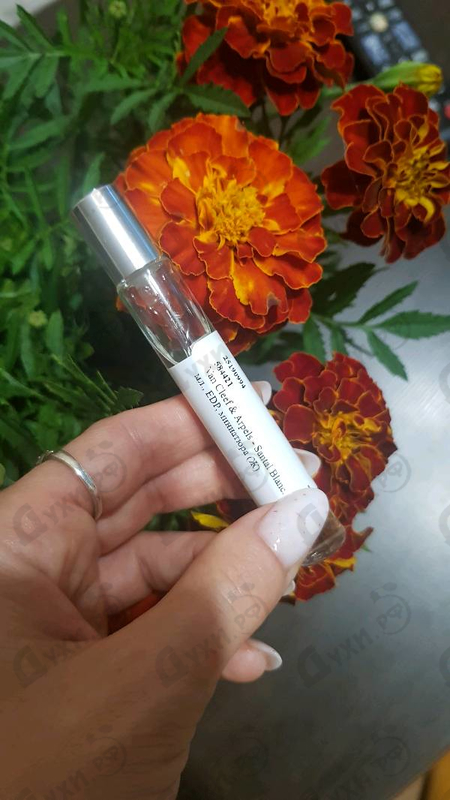 Купить Santal Blanc от Van Cleef & Arpels