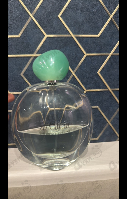 Отзыв Giorgio Armani Acqua Di Gioia