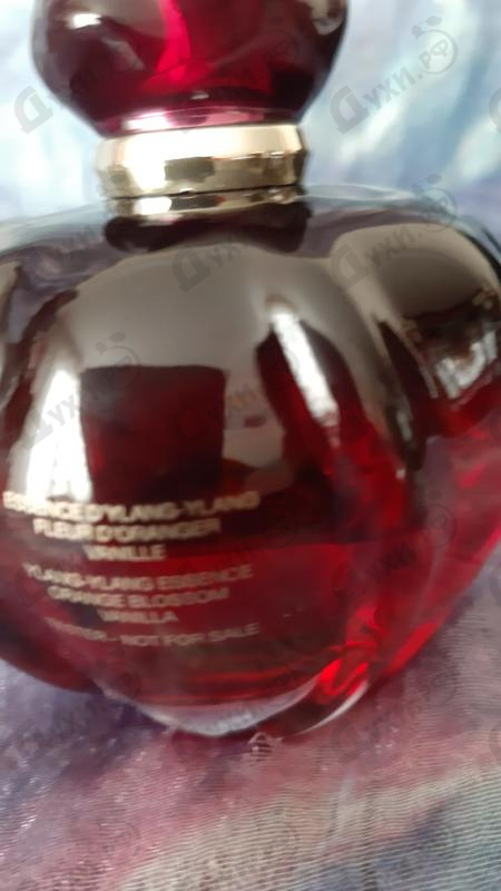 Отзыв Christian Dior Hypnotic Poison Eau Sensuelle Парфюмерия Hypnotic Poison Eau Sensuelle от Christian Dior