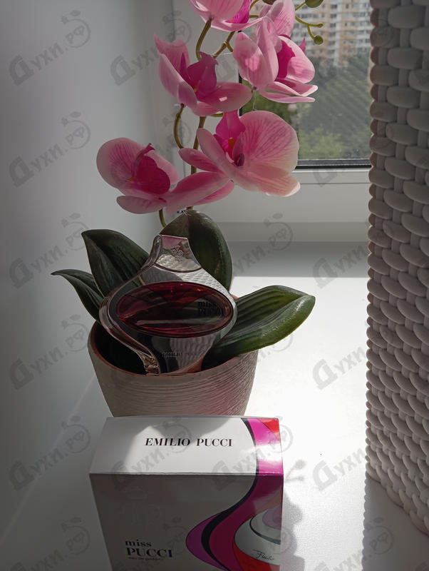 Парфюмерия Emilio Pucci Miss Pucci