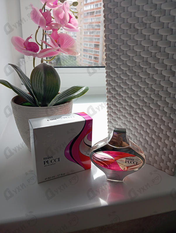 Купить Miss Pucci от Emilio Pucci