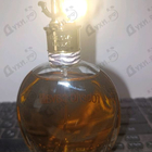 Отзыв Roberto Cavalli Eau De Parfum