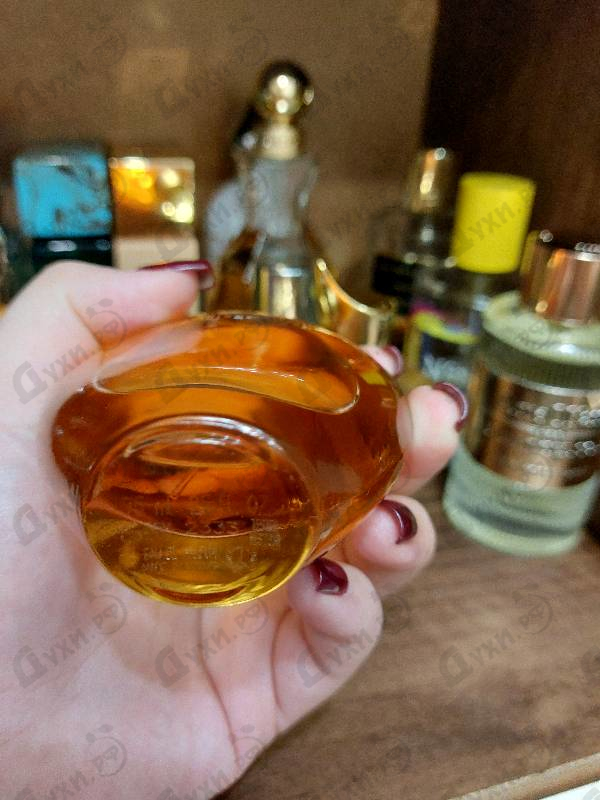 Отзыв Roberto Cavalli Eau De Parfum