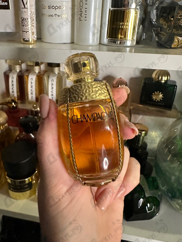 Купить Champagne от Yves Saint Laurent