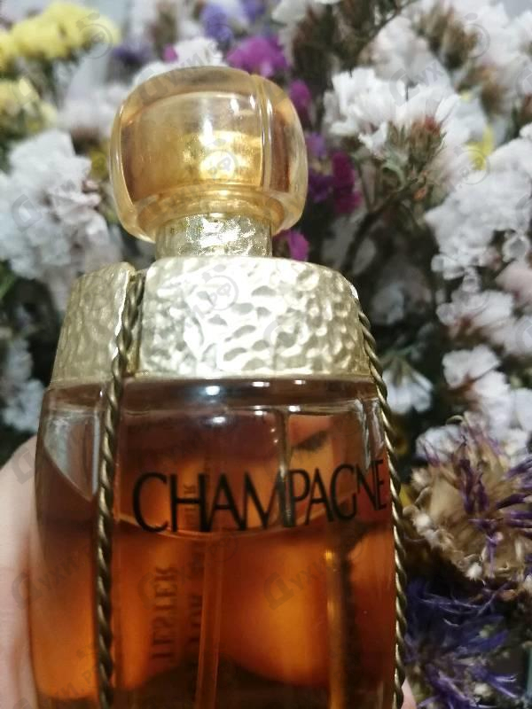 Парфюмерия Yves Saint Laurent Champagne