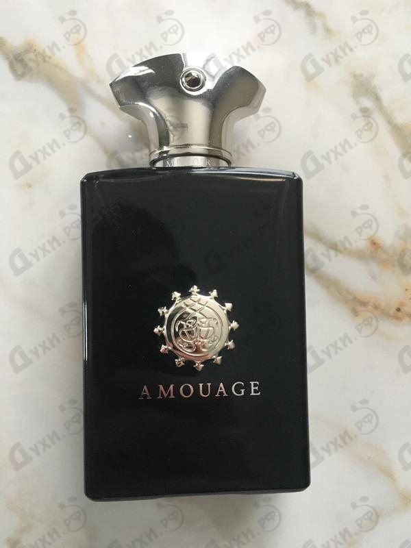 Купить Memoir от Amouage