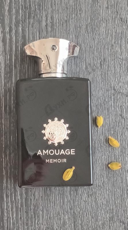 Купить Memoir от Amouage