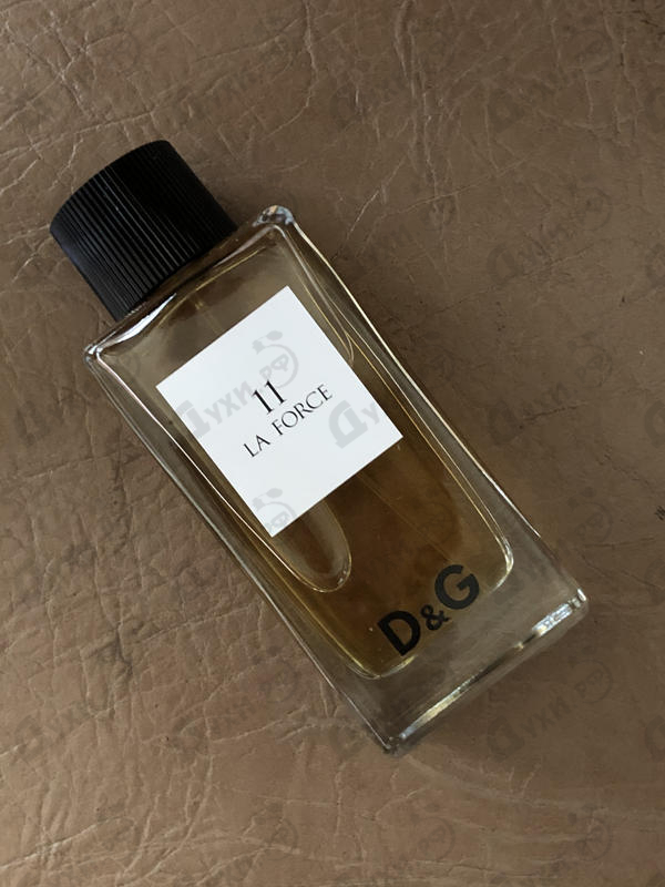 Купить Dolce & Gabbana Anthology La Force 11