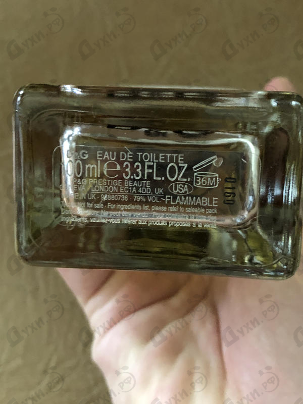 Купить Anthology La Force 11 от Dolce & Gabbana