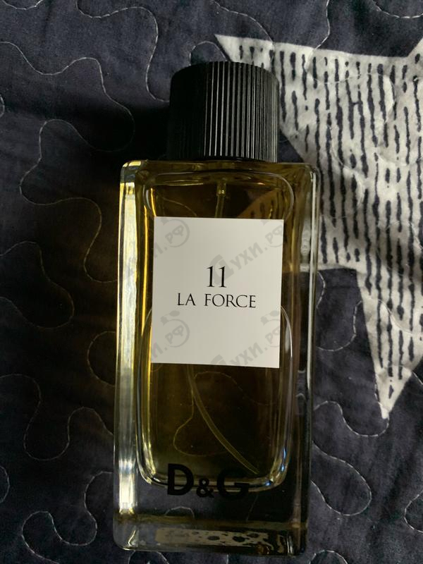 Парфюмерия Anthology La Force 11 от Dolce & Gabbana