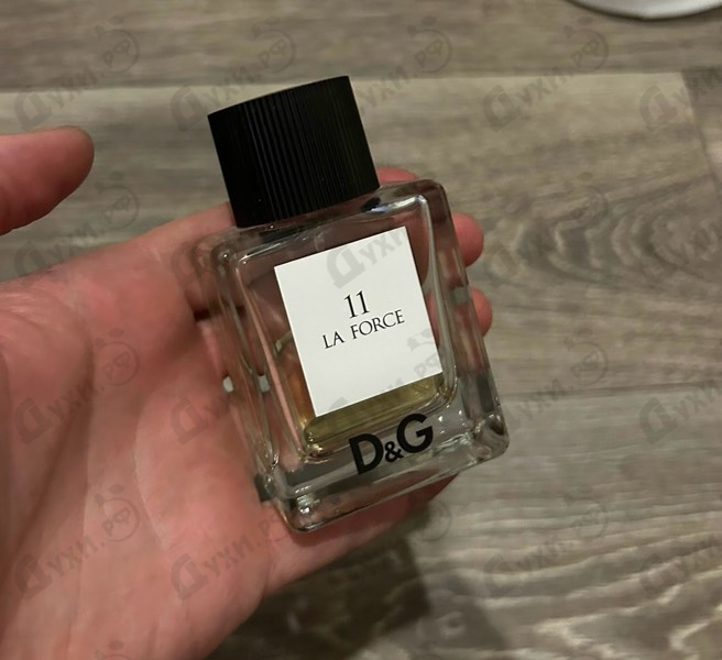 Парфюмерия Anthology La Force 11 от Dolce & Gabbana