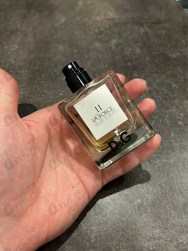 Купить Anthology La Force 11 от Dolce & Gabbana