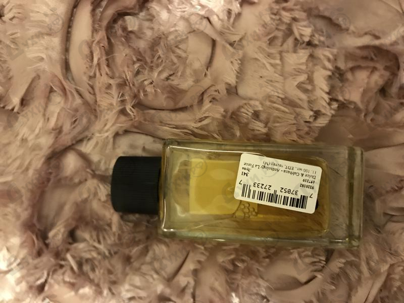 Купить Anthology La Force 11 от Dolce & Gabbana