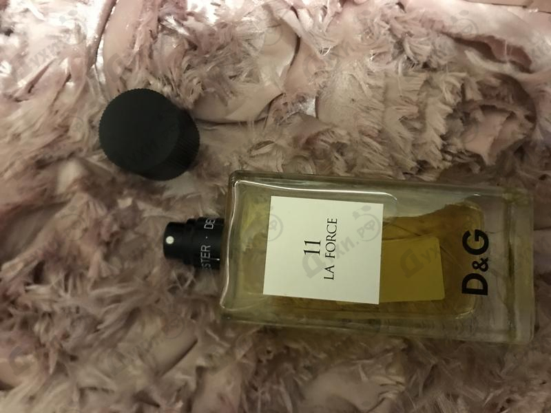 Купить Anthology La Force 11 от Dolce & Gabbana