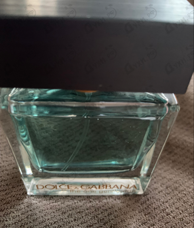 Купить The One Gentleman от Dolce & Gabbana