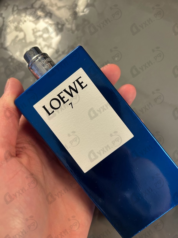 Отзывы Loewe Seven