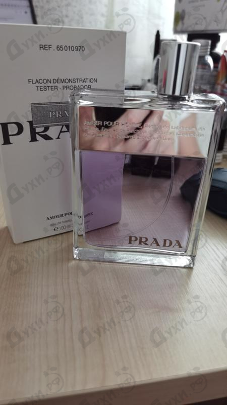 Купить Amber от Prada