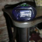 Отзыв Ralph Lauren The Big Pony Collection 1