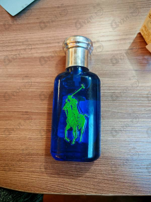 Купить Ralph Lauren The Big Pony Collection 1