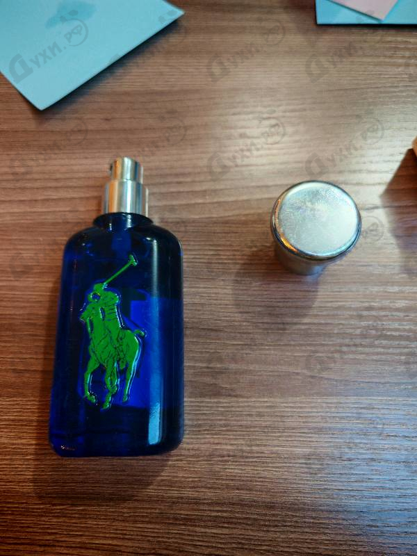 Купить The Big Pony Collection 1 от Ralph Lauren
