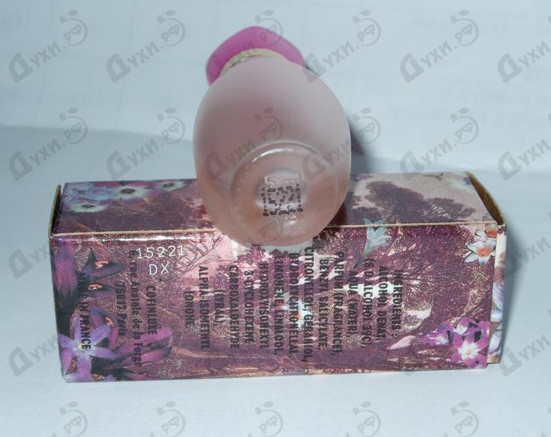 Парфюмерия Adventure от Cafe-cafe Купить Cafe-cafe Adventure