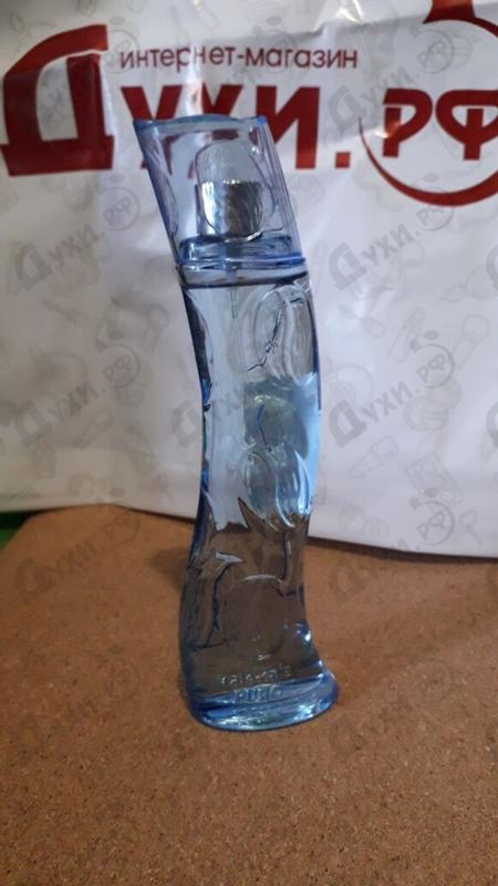 Духи Cafe-cafe Iced Парфюмерия Iced от Cafe-cafe