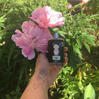 Духи Harajuku Lovers Baby от Gwen Stefani