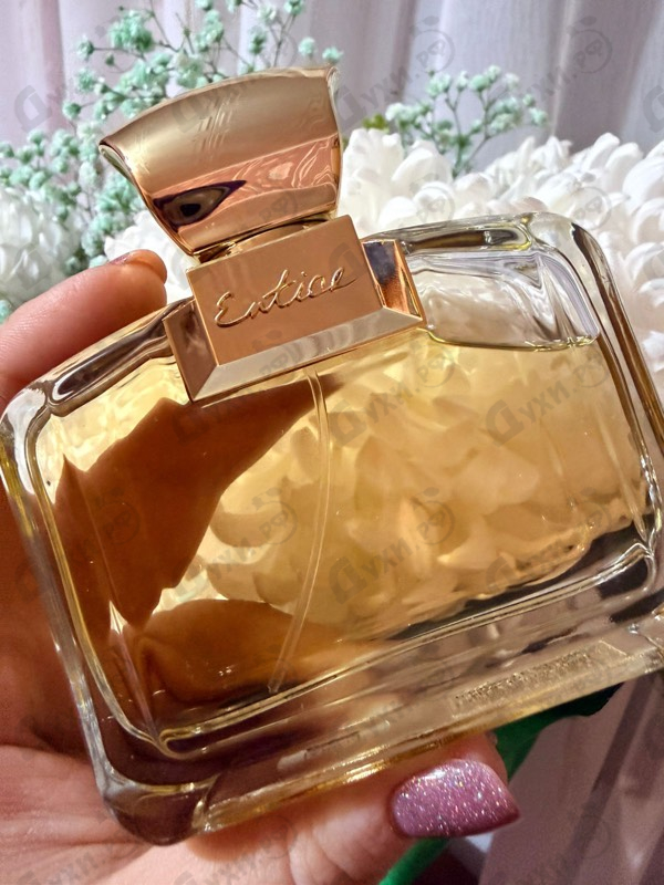 Парфюмерия Ajmal Entice