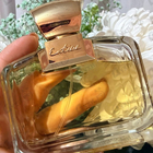 Духи Entice от Ajmal