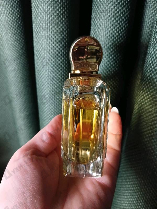 Купить Ajmal Entice