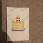 Отзыв Ajmal Entice