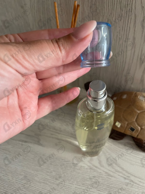 Отзывы Ajmal Raindrops