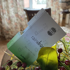 Отзыв Ajmal Raindrops