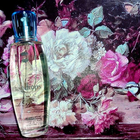 Отзыв Ajmal Raindrops