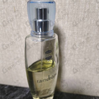 Отзыв Ajmal Raindrops