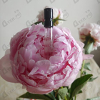 Парфюм Ajmal Raindrops