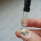 Отзывы Ajmal Raindrops