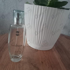 Духи Raindrops от Ajmal