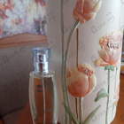 Отзывы Ajmal Raindrops