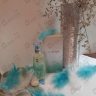 Отзывы Ajmal Raindrops