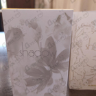 Отзыв Ajmal Shadow