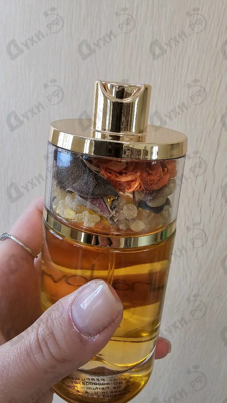 Купить Shadow от Ajmal