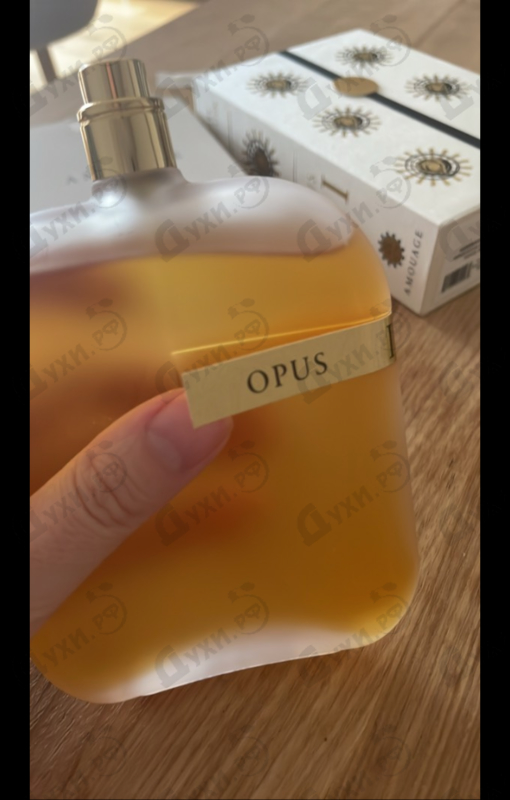 Купить Library Collection  Opus IV от Amouage