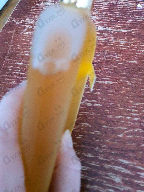 Купить Library Collection Opus I от Amouage