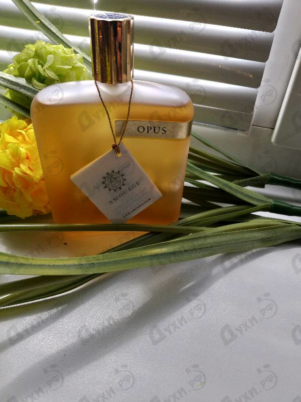 Парфюмерия Library Collection Opus I от Amouage
